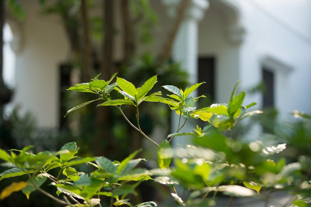 Sonalong Boutique Village & Resort Siem Reap Exterior photo